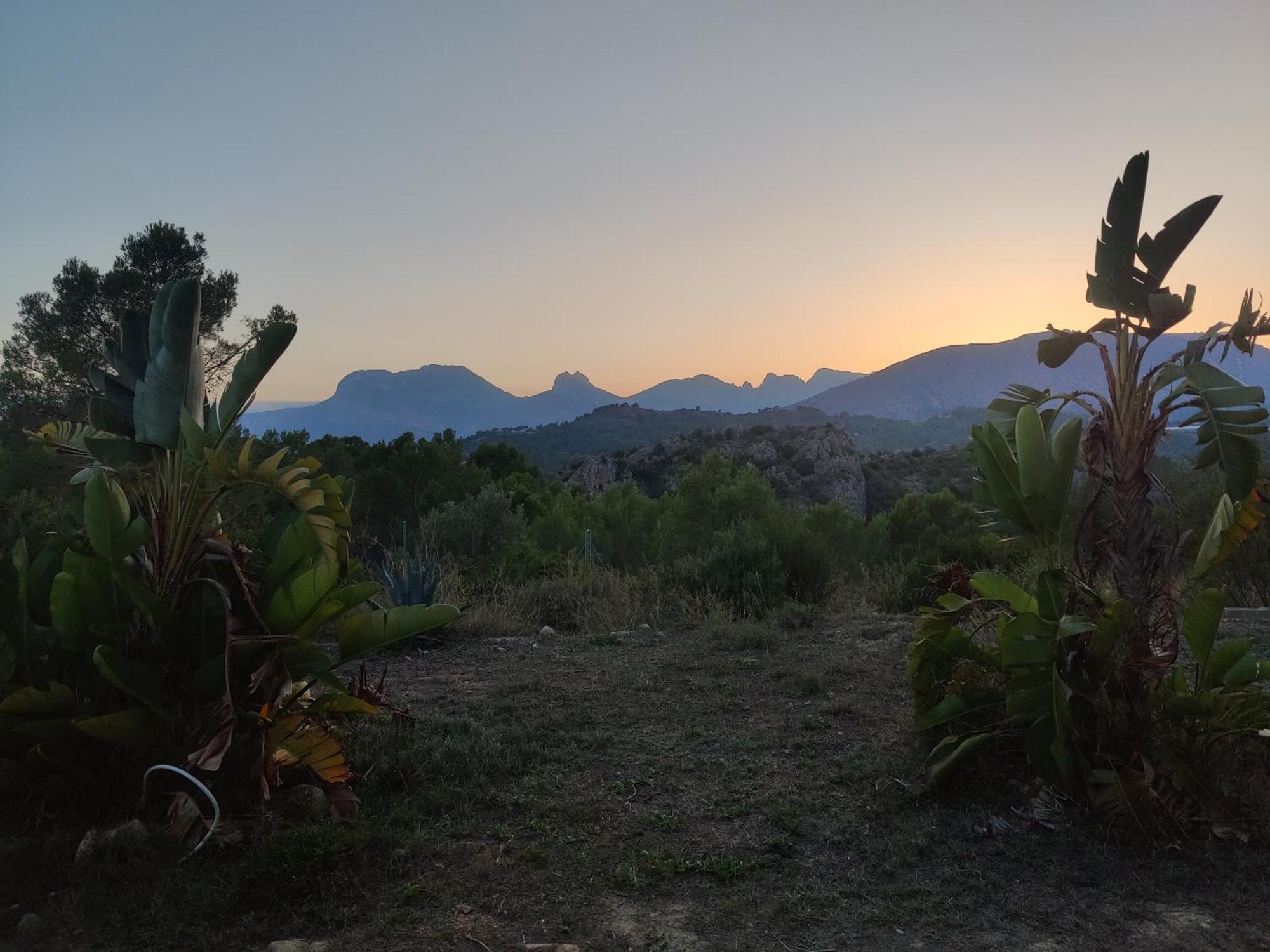 Finca Caracol Bolulla ภายนอก รูปภาพ