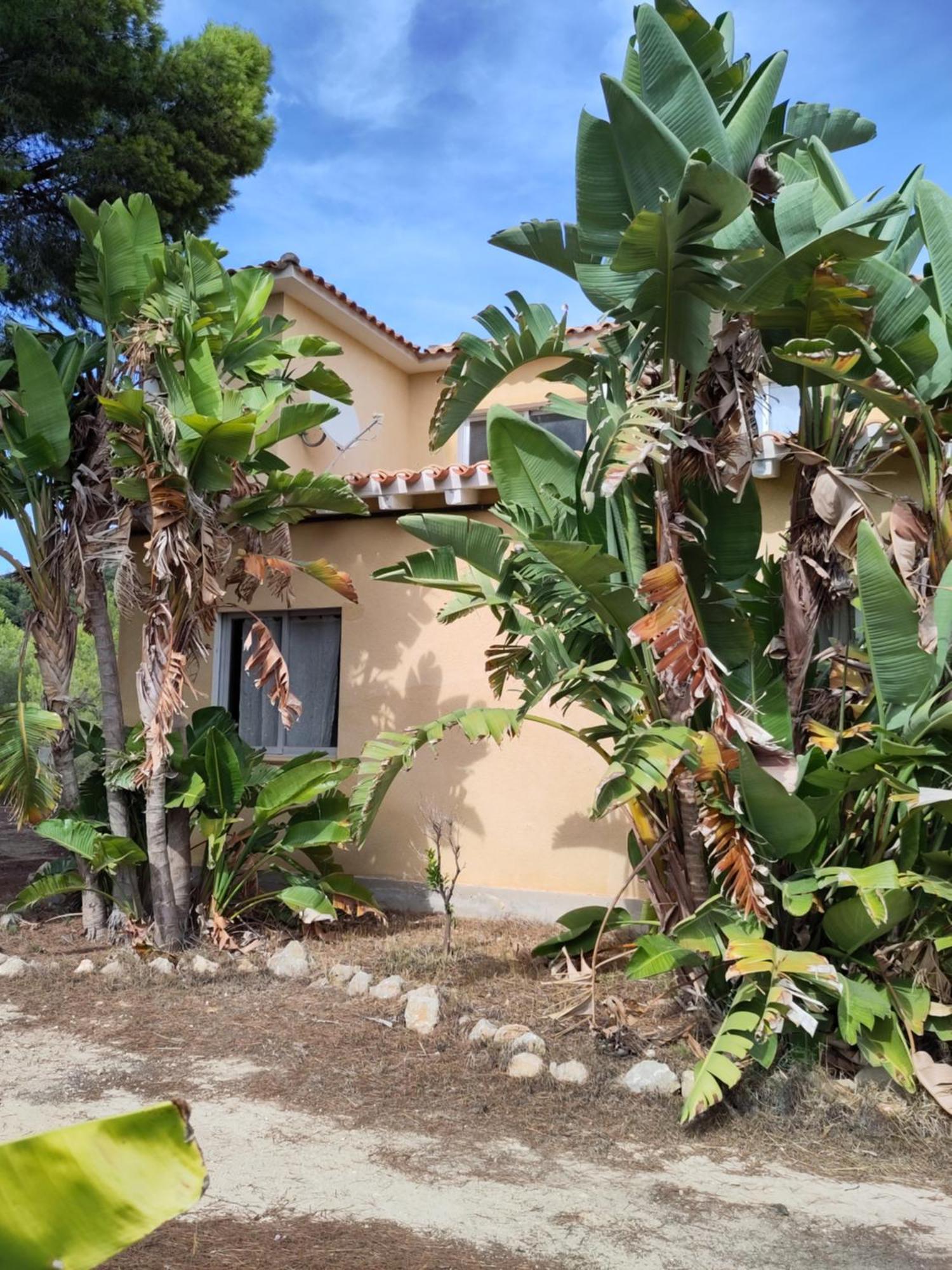 Finca Caracol Bolulla ภายนอก รูปภาพ